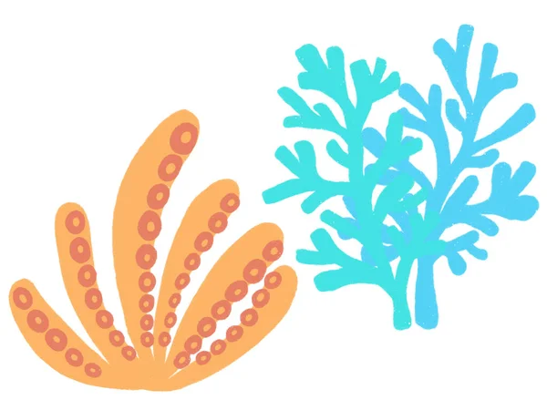 珊瑚礁植物五彩斑斓的自然图解白色背景下的涂鸦元素 — 图库照片