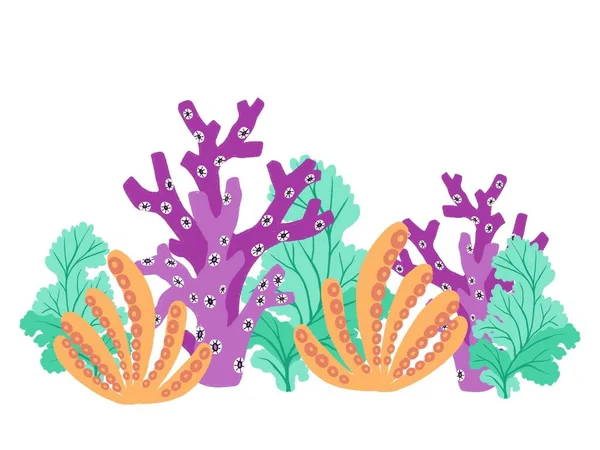 Mercan Resifi Bitkileri Renkli Doğa Çizimleri Beyaz Arkaplanda Izole Edilmiş — Stok fotoğraf