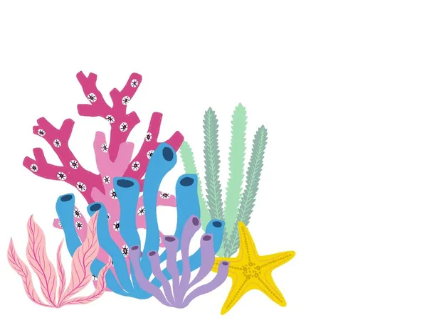 珊瑚礁五彩斑斓的海星图解问候邀请卡 — 图库照片