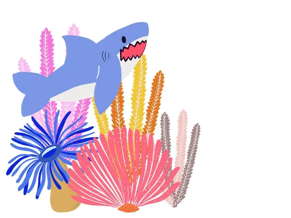 Korálový Útes Barevné Modrý Žralok Ilustrace Pozdrav Pozvánka — Stock fotografie