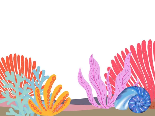 珊瑚礁五彩斑斓的海贝壳图解问候邀请卡 — 图库照片