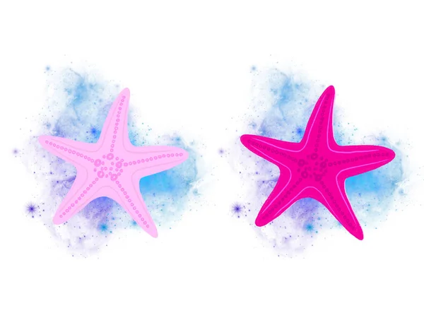 Морская Звезда Розовый Блеск Рисунок Рисунок Рисунок Белом Фоне — стоковое фото