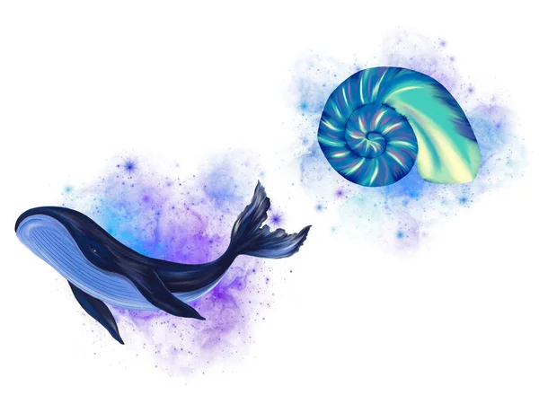 Волшебный Океан Волшебной Магии Китов Моллюсков — стоковое фото