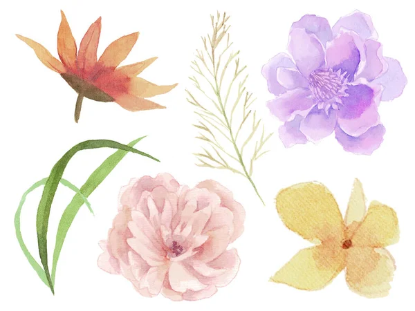Akvarell Illutration Festmény Rajz Szezonális Virág Tök Lombozat Levél Elszigetelt — Stock Fotó