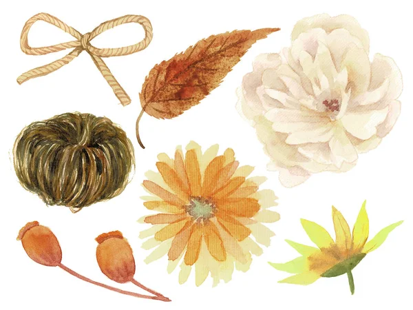 Akvarell Illutration Festmény Rajz Szezonális Virág Tök Lombozat Levél Elszigetelt — Stock Fotó