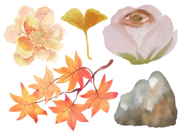 Aquarell Elemente Isoliert Weißen Hintergrund Herbst Saison Kürbis Und Blume — Stockfoto
