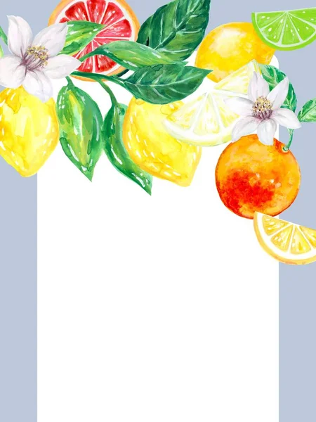 Інгредієнти Fruit Citrus Berry Сад Дозрілих Сільських Днів День Народження — стокове фото