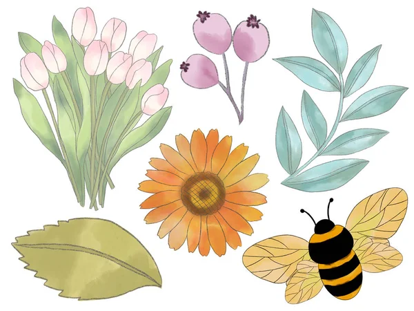 Польовий Луг Квітковий Бджолиний Мед Вулик Набір Зелене Листя Концепція — стокове фото