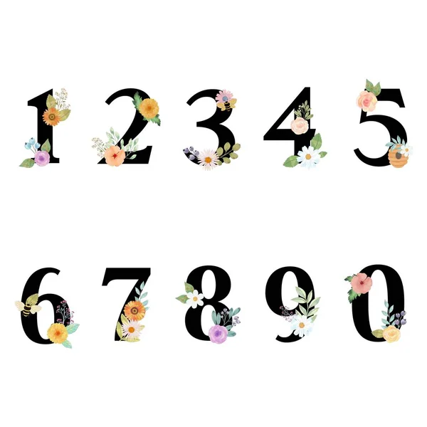 Alfabeto Maiúsculo Número Elementos Isolados Flor Floral Isolado Para Logotipo — Fotografia de Stock