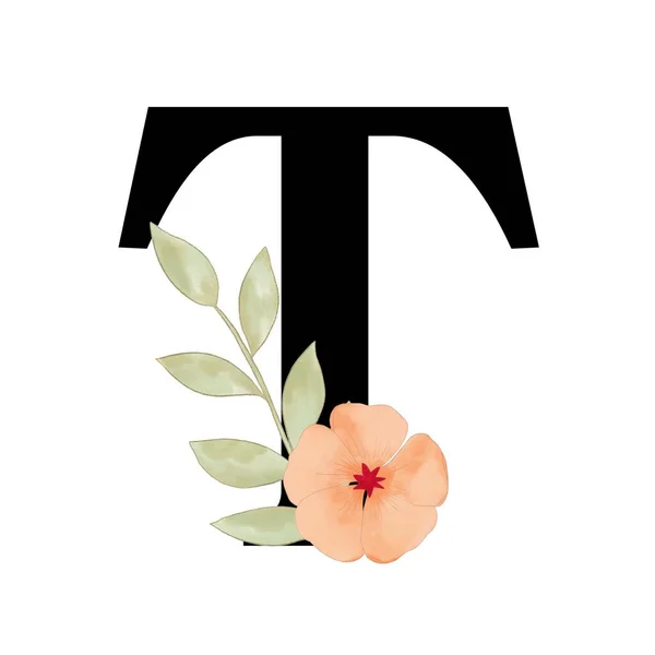Алфавіт Верхній Регістр Номер Ізольовані Елементи Квітучі Квіткові Ізольовані Логотипу — стокове фото