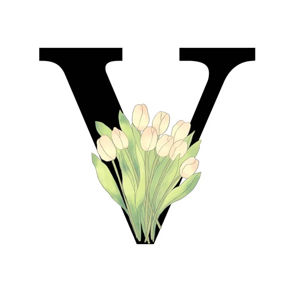 Alphabet Majuscule Nombre Éléments Isolés Fleur Floral Isolé Pour Logo — Photo