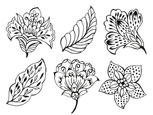 Floral Φύλλωμα Αφήνει Τέχνη Εικονογράφηση Ασπρόμαυρο Περίγραμμα Batik Sarong Paisley — Φωτογραφία Αρχείου