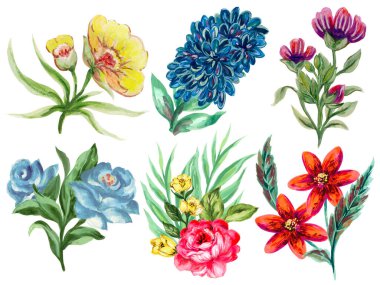 Tarla yabani çayır çiçek şablonu yalıtılmış elementler bahçe dekorasyonu parti kutlaması davetiye kartı 