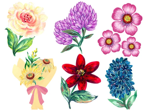 Tarla Yabani Çayır Çiçek Şablonu Yalıtılmış Elementler Bahçe Dekorasyonu Parti — Stok fotoğraf