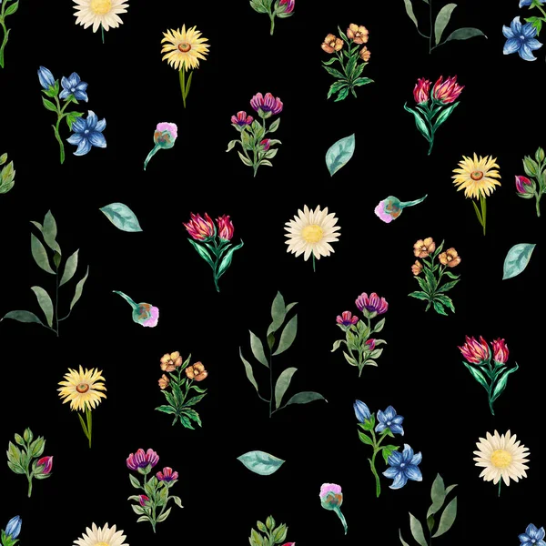 Akvarell Fält Blomma Äng Vild Trädgård Grönska Illustration Måla Ritmall — Stockfoto