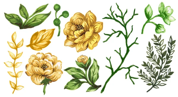 Watercolor Guache Ilustração Retro Antigo Rosa Peônias Florescer Elementos Isolados — Fotografia de Stock