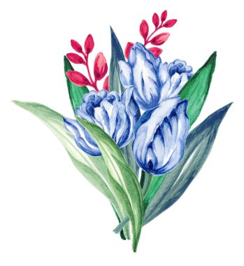 suluboya Bahar ve Yaz zamanı beyaz arka planda zarif bir çiçek resmi