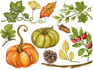 Renkli suluboya gouache Yaprakları ve Hayvanlar ile sonbahar dalları, Sebze El çizilmiş çizim düğün davetiyeleri tebrik kartları