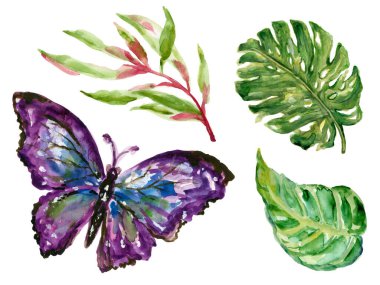 Elle çizilmiş suluboya Kelebek Renkli tropikal bitkiler beyaz arka planda suluboya çizimleri yapar.