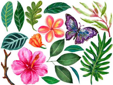 Suluboya resimleme Yaz egzotik orman tropikal çiçekli elementler beyaz üzerinde izole Tekstil ve dekorasyon için mükemmel