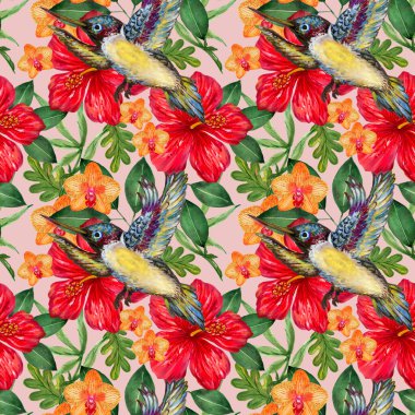 Yaz aylarında tropikal orman Hibiscus çiçekleri sinekkuşu desenli suluboya, tekstil ve dekorasyon için mükemmel.