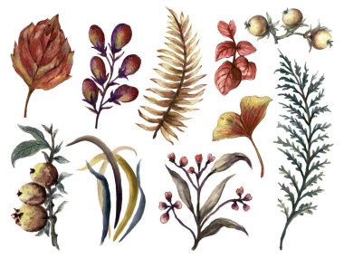 Sonbahar suluboya gouache Vahşi meyve ginko dalları yapraklar ile çizilmiş ilmiştir davetiyeler için tasarım tebrik kartları, arka plan, çelenk, sınır, çerçeve, tekstil kumaş