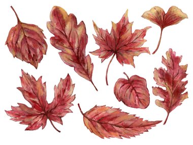 Suluboya gouache Sonbahar dalları yapraklar ile el çizimi illüstrasyon unsuru Davetiyeler için tasarım tebrik kartları arka plan çelengi sınır çerçevesi