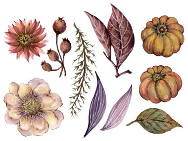 Sonbahar suluboya davetiyesi. Botanik çiçekler, yapraklar, yapraklar, çelenkler, balkabağı kartı elementleri beyaz el üzerine izole edilmiş sanat eserleri.