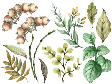 Çiçek açan bitkisel bitki elementleri beyaz bahçe yeşilliği ve yaprakları kapalı kumaş baskısı, duvar kağıdı, iç