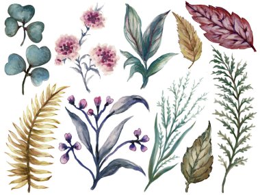 Çiçek açan bitkisel bitki elementleri beyaz bahçe yeşilliği ve yaprakları kapalı kumaş baskısı, duvar kağıdı, iç