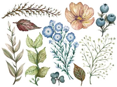 Çiçek açan bitkisel bitki elementleri beyaz bahçe yeşilliği ve yaprakları kapalı kumaş baskısı, duvar kağıdı, iç