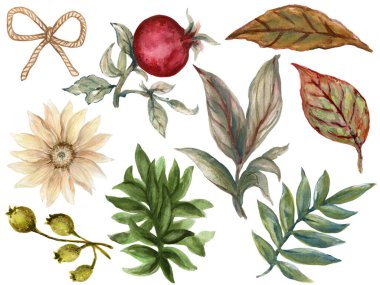 Çiçek açan bitkisel bitki elementleri beyaz bahçe yeşilliği ve yaprakları kapalı kumaş baskısı, duvar kağıdı, iç