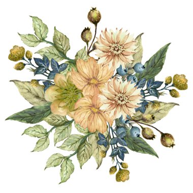 Suluboya unsurlar kır çiçekleri, otlar. Buket koleksiyonu, çayır, dallar. Beyaz arka planda izole edilmiş element çizimi. Bitkiler hakkında.