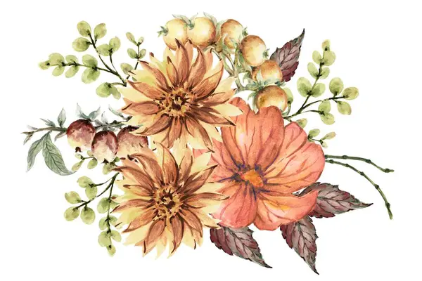 Suluboya Unsurlar Kır Çiçekleri Otlar Buket Koleksiyonu Çayır Dallar Beyaz Telifsiz Stok Imajlar