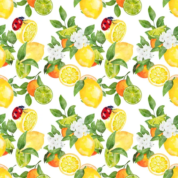Seamless pattern watercolor with citrus orange lime lemon fruit with insect background print  illustration design for paper, covers, cards, fabrics, interior