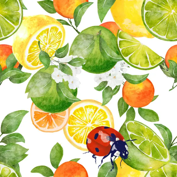 Seamless pattern watercolor with citrus orange lime lemon fruit with insect background print  illustration design for paper, covers, cards, fabrics, interior
