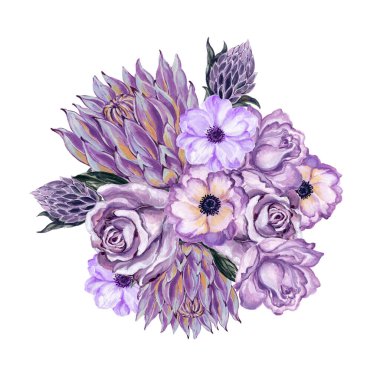 Suluboya gouache seti anemon gülü ve protea çiçeği ve el çizimi çiçekleri beyaz arka planda izole edilmiş klasik suluboya tarzıyla hazırlanmış zarif bir çiçek.