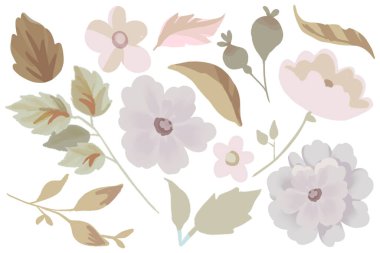 Bahar mevsimi çiçekli suluboya elementler tasarımı. Botanik bitkileri çiçek yaprakları ve dallardan oluşan suluboya koleksiyonu