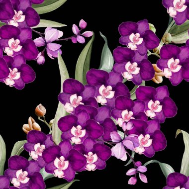 Çiçeksiz desenli suluboya desenli orkideler elle çizilmiş. Tropik botanik geçmişi. Yazdırma, duvar kağıdı, posterler, giyim tekstili, kumaş, paket