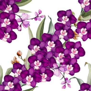 Çiçeksiz desenli suluboya desenli orkideler elle çizilmiş. Tropik botanik geçmişi. Yazdırma, duvar kağıdı, posterler, giyim tekstili, kumaş, paket
