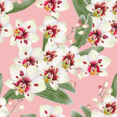 Çiçeksiz desenli suluboya desenli orkideler elle çizilmiş. Tropik botanik geçmişi. Yazdırma, duvar kağıdı, posterler, giyim tekstili, kumaş, paket