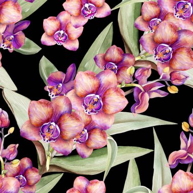 Çiçeksiz desenli suluboya desenli orkideler elle çizilmiş. Tropik botanik geçmişi. Yazdırma, duvar kağıdı, posterler, giyim tekstili, kumaş, paket