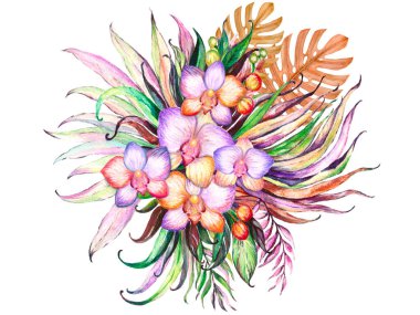 Orkide çiçekleri suluboya beyaz arka planda izole edilmiştir. Güzel çiçekler, dekoratif kurutulmuş canavar resimleri.