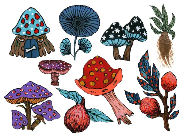 stock image Tattoo cartoon old school style  watercolor  rainforest mushroom, ginseng, pomegranate elements For wrapping paper, cards, posters, banners autumn holiday hand drawn