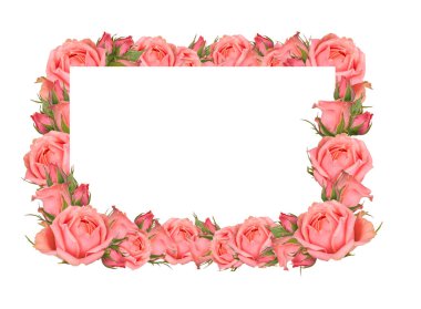 Metin veya tasarım için beyaz kartla süslenmiş narin pembe gül çerçevesi, çiçek açan pastel renkli arka plan, yumuşak buket çiçek kartı. Anneler Günü, Sevgililer Günü, Doğum günü tebrik kartı.