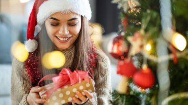 Evde yeni yıl kutlaması kavramı