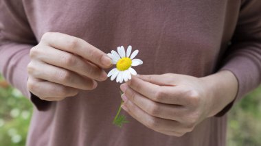 Kadın, sevilip sevilmediğini anlamak için papatyadan taç yaprakları koparır.