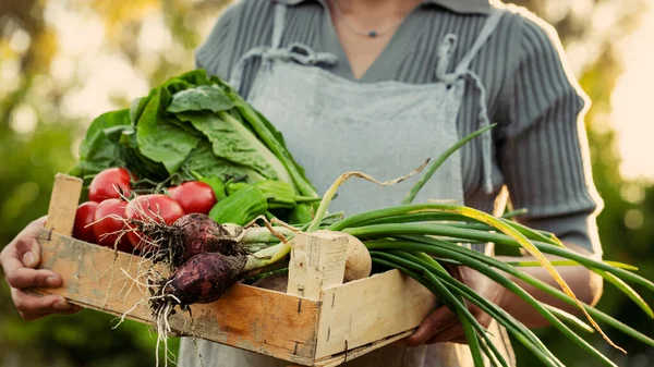 Stock image Farmer woman holding vegetable crate