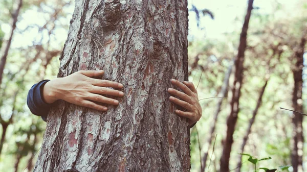 Woman hugging the tree trunk