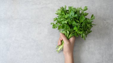 Bir demet maydanozla el ele tutuşmak